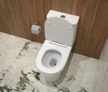 Унитаз-моноблок SM9618 безободковый, сиденье тонкое ДП, арматура (с гофрой и подводкой) 