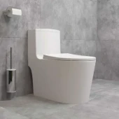 Унитаз-моноблок 5003 безободковый, сиденье тонкое ДП, арматура (с гофрой и подводкой) Унитаз-моноблок 5003 безободковый, сиденье тонкое ДП, арматура (с гофрой и подводкой)