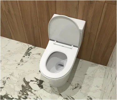 Унитаз-моноблок T1081 безободковый, сиденье ДП, арматура (с гофрой и подводкой) 