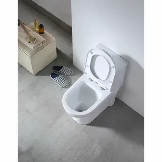 Унитаз-моноблок SM9009, сиденье тонкое ДП, арматура (с гофрой и подводкой) 