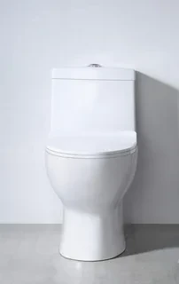 Унитаз-моноблок SM9601, сиденье тонкое ДП, арматура (с гофрой и подводкой) 