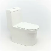 Унитаз-моноблок SM9610, сиденье тонкое ДП, арматура (с гофрой и подводкой) Унитаз-моноблок SM9610, сиденье тонкое ДП, арматура (с гофрой и подводкой)