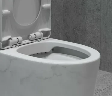 Унитаз-моноблок SM9609 безободковый, сиденье тонкое ДП, арматура (с гофрой и подводкой) 