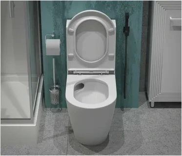 Унитаз-моноблок T1070 безободковый круговой смыв, сиденье тонкое ДП, арматура (с гофрой и подводкой) 